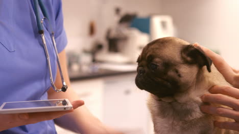 Un-Veterinario-Hablando-Con-El-Dueño-De-Una-Mascota.-