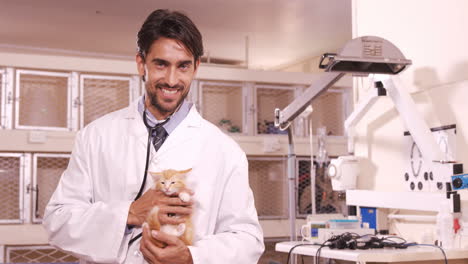 Tierarzt-Hält-Eine-Katze