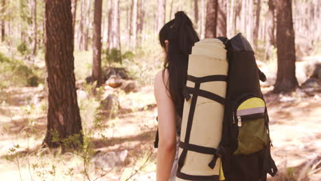 La-Mujer-Camina-En-El-Bosque