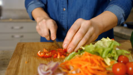 Mujer-Cortando-Verduras