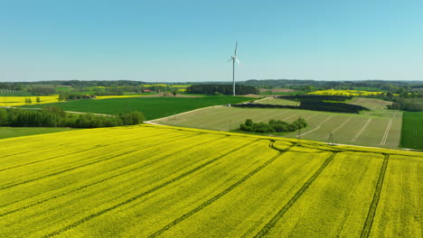 Una-Vista-Aérea-Panorámica-De-Los-Campos-De-Colza-Amarilla-Que-Se-Extienden-Por-El-Campo,-Con-Manchas-Verdes-Y-Un-Cielo-Azul-Brillante