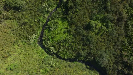 Trockener-Fluss-In-Grüner-Hügeliger-Hawaii-Landschaft-Im-Sonnenlicht,-Luftaufnahme