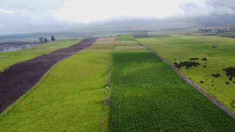 Aerial-Drone-Panning-Over-Agricultural-Land,-El-Pedregal-Neighborhood,-Cantón-Mejía,-Province-Of-Pichincha,-Ecuador