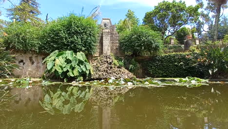 See-In-Einem-Garten-Mit-Einer-Statue-Im-Hintergrund-Und-Blättern,-Die-Sich-Im-Wasser-Spiegeln