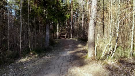 Zeitlupen-POV-Spaziergang-Im-Herbstlichen,-Trockenen-Wald-Bei-Tageslicht-Auf-Einem-Erdigen-Pfad