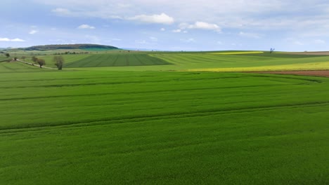 Cultivated-fields-on-the-plain,-a-magnificent-landscape-in-France