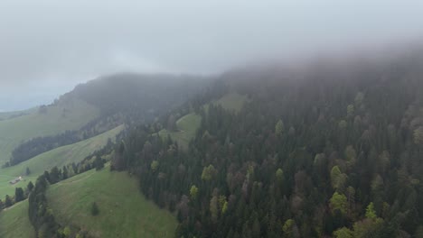 Aerial-flight-along-forest-mountains-in-Switzerland-during-cloudy-day