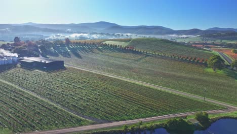 Sobre-Una-Presa,-Un-Viñedo-En-Funcionamiento-Y-Acercándose-A-Colinas-Cubiertas-De-Niebla-En-El-Valle-De-Yarra,-Cerca-De-Yarra-Glen