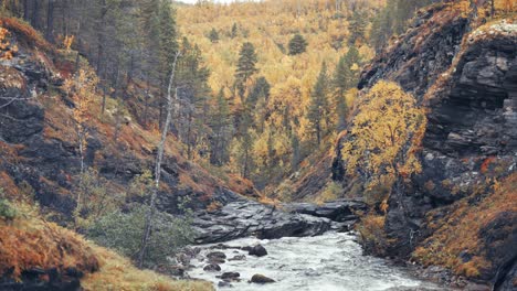 The-shallow-mountain-river-flows-in-the-narrow-canyon-through-the-autumn-forest