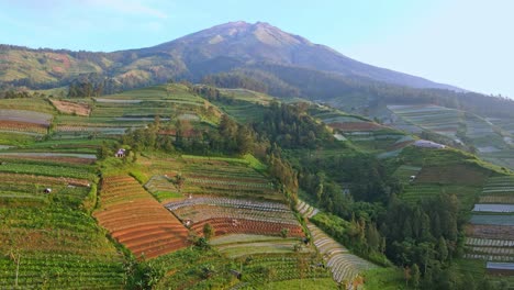Birds-eye-view-over-the-plantations-on-the-slopes-of-mount-sumbing-in-Indonesia