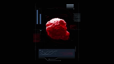 Roter,-Sich-Bewegender-Virus-Auf-Schwarzem-Hintergrund-Mit-Infografik