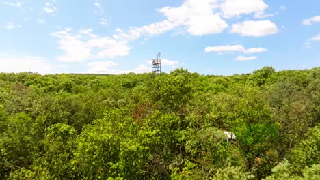 Slow-rising-shot-of-a-telecommunication-tower-in-the-Puéchabon-forest