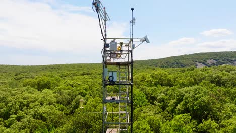 Slow-establishing-shot-of-a-communications-tower-deep-in-the-Puéchabon-forest