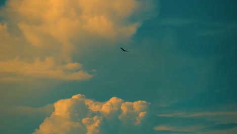 A-Mighty-Eagle-Soaring-Against-the-Backdrop-of-Cumulonimbus-Clouds---Tracking-Shot