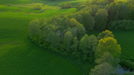 Valle-De-Vegetación,-Hierba,-árboles,-Corriente-De-Agua,-Paisaje-Del-Atardecer,-Aéreo