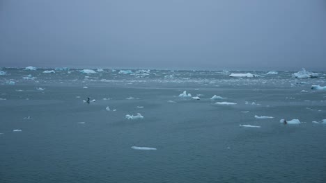 Arctic-Sea-on-Misty-Day,-Pieces-of-Ice-in-Cold-Water,-Ship-Passenger-POV