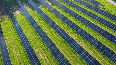 Rows-of-Solar-Panels-on-a-Gren-field-for-renewable-energy-production,-aerial-view-on-golden-hour