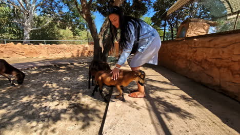 Attractive-young-woman-with-goats-at-a-petting-zoo