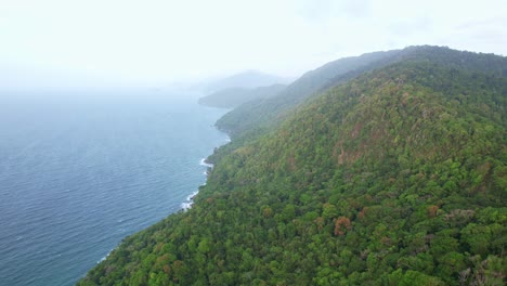 drone-shot-of-forest-and-the-ocean