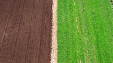 Aerial-View-Of-Cultivated-Land-In-Agricultural-Fields