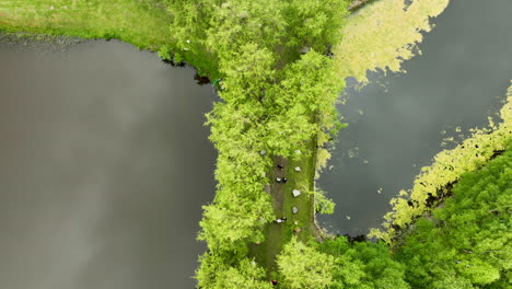 Aerial-top-down-view-of-a-narrow-path-through-a-wooded-area-between-two-lakes,-showing-people-walking-along-the-trail