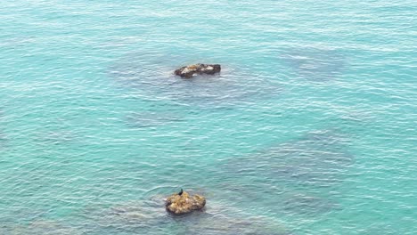 Vista-Aérea-De-Un-Cormorán-Posado-Sobre-Una-Roca-En-El-Mar-Mientras-Las-Tranquilas-Aguas-Chocan