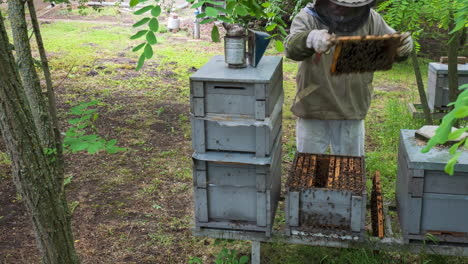 Imker-Untersucht-Die-Bienen,-Zeitraffer