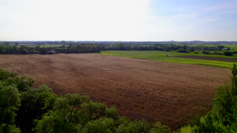 Slow-rising-shot-revealing-a-vast-wheat-field-ready-for-harvesting-in-France