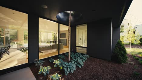 entry-of-a-luxury-home-with-a-hole-built-into-the-architecture-to-allow-a-tree-to-grow-through-the-house