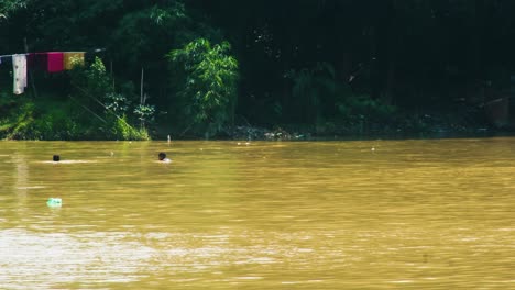 Niños-Nadando-En-Un-Río-Ampliado-Por-Las-Inundaciones-En-Bangladesh---Toma-Estática