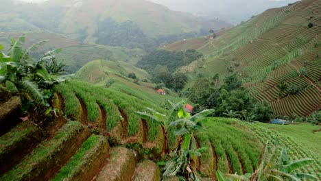 Panyaweuyan-Terrassen,-Dramatisch-Gestreifte-Landwirtschaftliche-Nutzpflanzen-Schmiegen-Sich-An-Die-Vulkanischen-Hänge-Der-Indonesischen-Landschaft