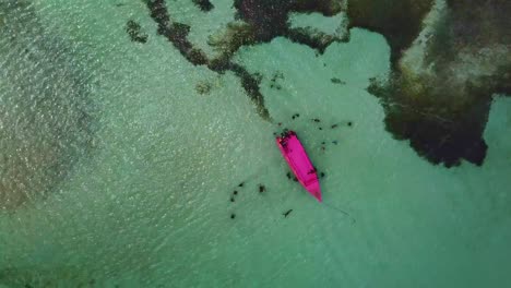 Drone-clip-of-nylon-pool-in-tobago-overhead