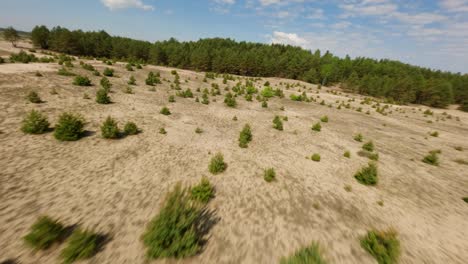 Beautiful-desert-landscape-with-pine-tree-forest-in-background,-aerial-drone-FPV-view