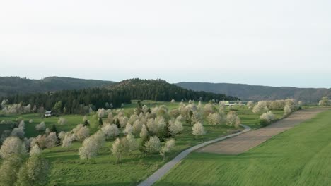 Ein-Drohnenvideo-Zeigt-Eine-üppige,-Hügelige-Landschaft-In-Der-Nähe-Von-Hrinova,-Slowakei,-Die-In-Leuchtenden-Frühlingsfarben-Erstrahlt