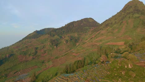 Panoramic-view-of-bare-mountain-slopes,-completely-planted-with-potatoes-in-Indonesia