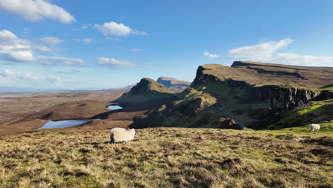 Sheep-grazing-on-the-Quiraing-landscape-of-Isle-of-Skye-under-a-bright-blue-sky