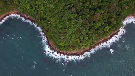 drone-shot-of-forest-seashore-and-ocean-with-waves
