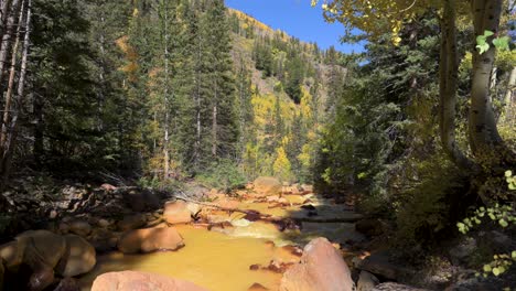 Blick-Auf-Einen-Gelben,-Sauren-Fluss,-Der-Durch-Abflusswasser-Aus-Den-örtlichen-Gold--Und-Silberminen-Entsteht,-Das-Tagsüber-Durch-Den-Wald-Fließt
