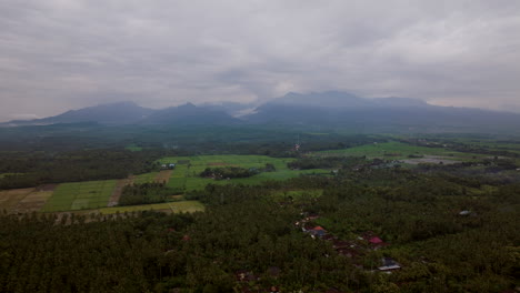 Gemusterte-Plantagenfelder-Mit-Reisfeldern-Und-Palmen-Mit-Dorf-Im-Tal