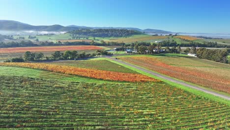 Sobre-La-Cabeza-De-Un-Viñedo-En-La-Ladera-De-Una-Colina-En-El-Valle-De-Yarra-Cerca-De-Yarra-Glen-Victoria-Australia