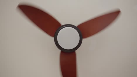 Modern-ceiling-fan-with-wooden-blades-spinning,-view-from-below
