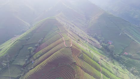 Panyaweuyan-Riesige-Plantagenterrassen-Dramatisch-Gestreifte-Landwirtschaft-Ackerland-Nutzpflanzen-Umarmen-Die-Vulkanische-Hügellandschaft-Von-Indonesien