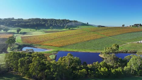 Aerial-approaching-a-dam-over-a-vineyard-in-the-Yarra-Valley-near-Yarra-Glen-in-Victoria-Australia
