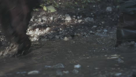 Soldiers-marching-walking-in-forest-closeup-view-of-boots-and-water-on-land