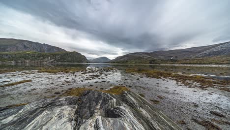 Rocky-shore-and-a-sandy-fjord-bottom-exposed-by-the-low-tide-are-covered-with-kelp-and-seaweed