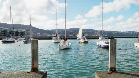 Yachts-in-the-harbour,-Wellington-New-Zealand