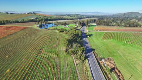 Aerial-alongside-Melba-Highway-in-the-Yarra-Valley-near-Yarra-Glen-with-vineyards-and-fog-shrouded-hills-beyond