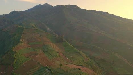 Vista-Aérea-De-Plantaciones-De-Patatas-En-Las-Laderas-De-Una-Colina-En-Indonesia.