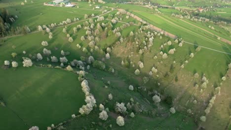 Imágenes-Aéreas-De-Drones-De-Exuberantes-Colinas-Verdes-Cerca-De-Hrinova,-Eslovaquia-Central