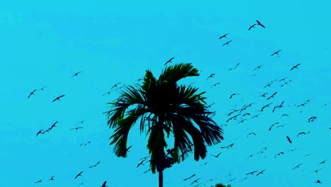 Migratory-Birds-Soaring-Past-a-Palm-Tree,-Silhouetted-Against-the-Backdrop-of-a-Clear-Blue-Sky---Low-Angle-Shot